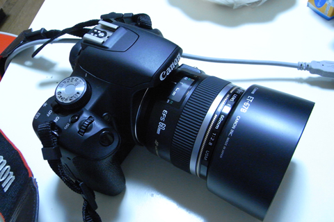 201001001_4.jpg