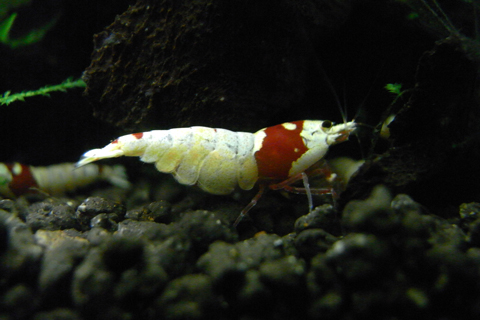 20100612-3.jpg