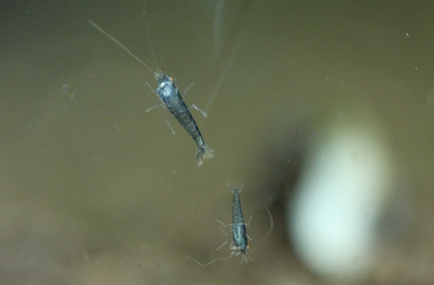 20101019_2.jpg